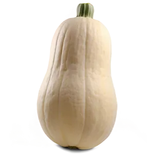 Squash Garden Png 06122024 PNG Image