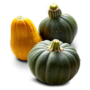 Squash Harvest Png 06122024 PNG Image