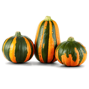 Squash Recipe Ingredient PNG 13 PNG with transparent background