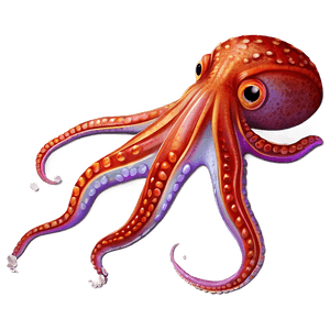 Squid Illustration PNG ljp62 PNG