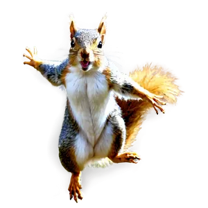 Squirrel In Flight Png Trw31 PNG Image