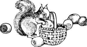 Squirrel With Nuts Sketch PNG image with transparent background