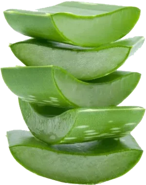 Stacked Aloe Vera Slices.png PNG Image