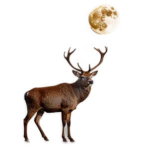 Stag And Moonlight Png 06292024 PNG Image