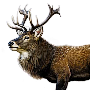 Stag B PNG Image