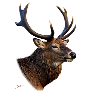 Stag D PNG Image