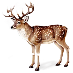 Stag Deer Illustration Png Rgj49 PNG Image