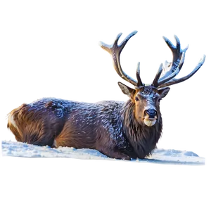 Stag In Snow Png 06292024 PNG Image