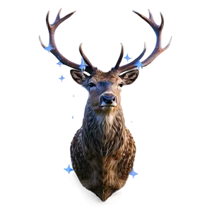 Stag Under Stars Png Dwr PNG Image