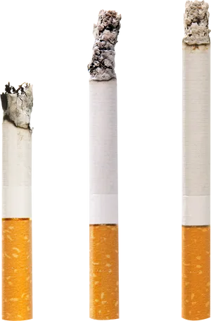 Stagesof Cigarette Burning PNG Image