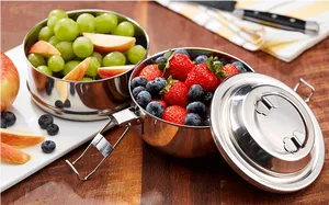 Stainless Steel Tiffin Boxwith Fruits PNG Image