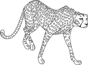 Stalking Jaguar Line Art PNG Image