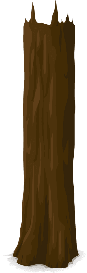 Cartoon Tree Trunk Png, Transparent Png PNG image with transparent background