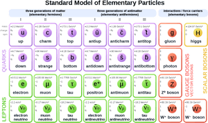 Standard Model Of Particle Physics, HD Png Download PNG with transparent background