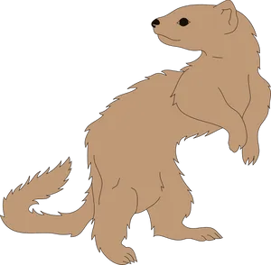 Standing Ferret Illustration PNG Image