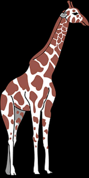 Standing Giraffe Illustration PNG image with transparent background
