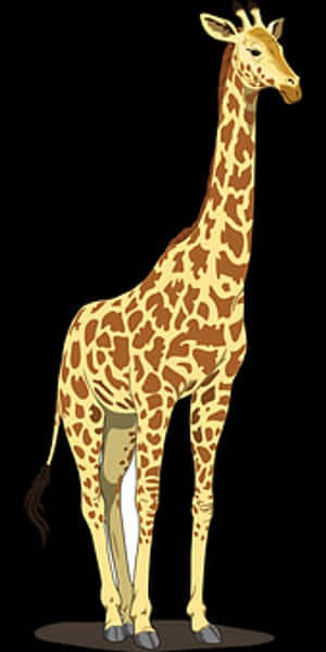 Standing Giraffe Illustration PNG image with transparent background