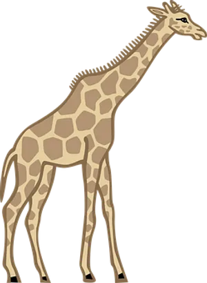 Standing Giraffe Vector Illustration PNG Image