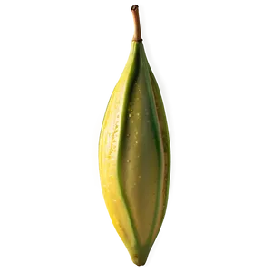 Star Fruit Detail Png 2 PNG Image