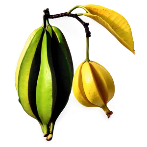 Star Fruit On Branch Png Qjc PNG Image