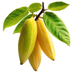 Star Fruit Tree Png Tja PNG Image