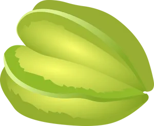 Starfruit Vector Illustration PNG Image