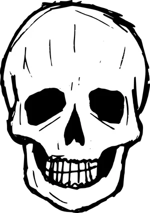 Stark Blackand White Skull Illustration PNG Image