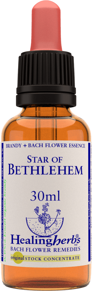 Cherry Plum Healing Herbs, HD Png Download PNG image with transparent background