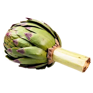 Steamed Artichoke Png 23 PNG Image