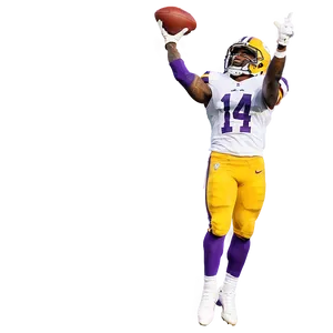 Stefon Diggs Game-winning Catch Png 14 PNG Image