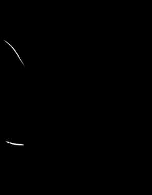 Stethoscope Silhouetteon Black PNG