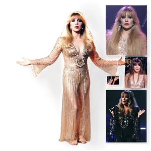 Stevie Nicks In Sequins Png Kdg PNG Image