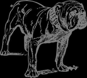 Stoic Bulldog Silhouette PNG image with transparent background