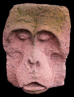 Stone Carved Monkey Face Sculpture PNG image with transparent background