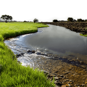 Stream in Farmland PNG 1 PNG with transparent background