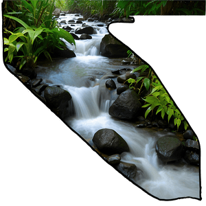 Stream in Rainforest PNG 06262024 PNG with transparent background