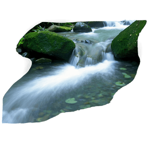 Stream in Rainforest PNG akr PNG with transparent background