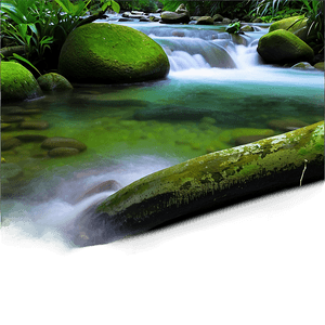 Stream in Rainforest PNG qul90 PNG with transparent background