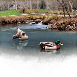 Stream with Ducks PNG 91 PNG with transparent background