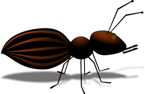 All Photo Png Clipart - Ant, Transparent Png PNG image with transparent background