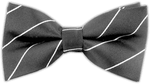 Bow Tie Necktie Handkerchief Shoelace Knot Clothing - Formal Wear, HD Png Download PNG image with transparent background
