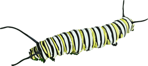 Caterpillar Clipart - Caterpillar Transparent Background, HD Png Download PNG with transparent background