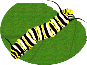 Monarch Butterfly Caterpillar Clipart Brush-footed - Monarch Butterfly Caterpillar, HD Png Download PNG image with transparent background