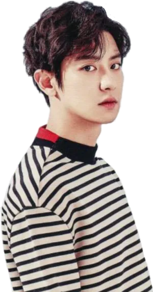 Striped Sweater Music Artist PNG Image