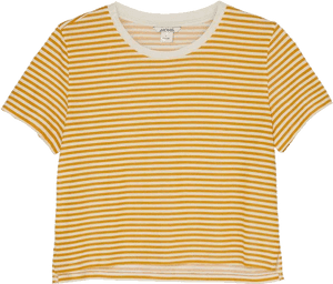 Striped Shirt Crop Top, HD Png Download PNG image with transparent background