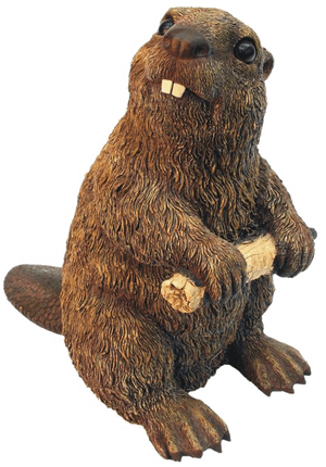 Beaver Png High-quality Image - Michael Carr 609031 Beaver Medium 4.5x7.8x7.8 In PNG image with transparent background