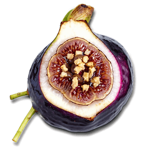 Stuffed Fig Appetizer PNG 06202024 PNG