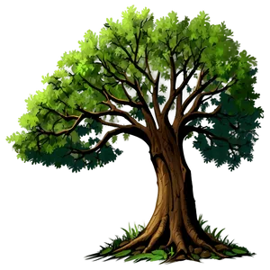 Sturdy Oak Tree Silhouette Png 06262024 PNG Image