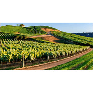 Stuttgart Vineyards Landscape PNG 06112024 PNG image with transparent background