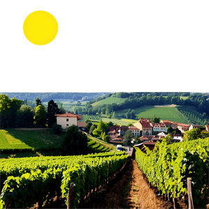 Stuttgart Vineyards Landscape PNG 61 PNG image with transparent background